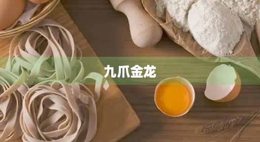 九爪金龙 九爪金龙