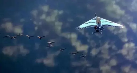 关于宠物的催泪电影有哪些(盘点10部催泪的宠物电影)