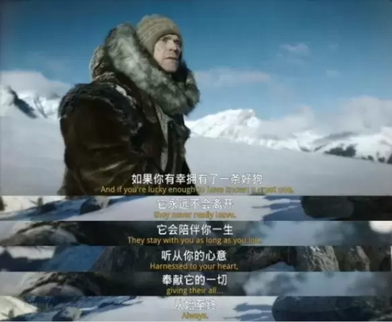 关于宠物的催泪电影有哪些(盘点10部催泪的宠物电影)