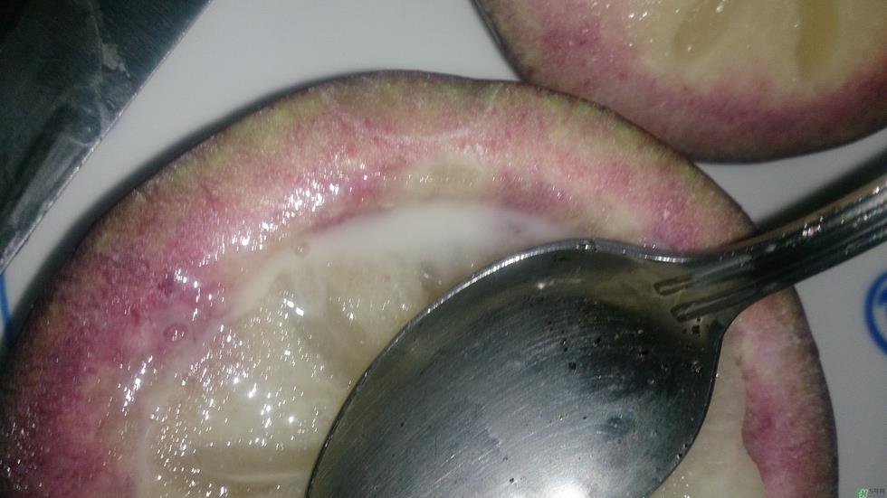 牛奶果怎么吃?牛奶果的功效与作用 牛奶果怎么吃?牛奶果的功效与作用