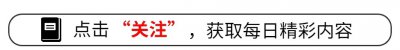 ​被遗忘的国产五代隐身战机——歼14“雪鸮”