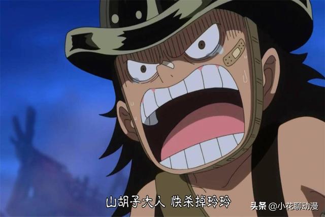 海贼王:海尔丁虽然是和小人物,但他与大妈却是小时候的玩伴!