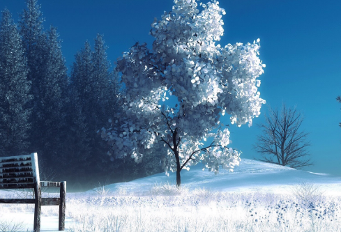 1686637313700256.png image.png