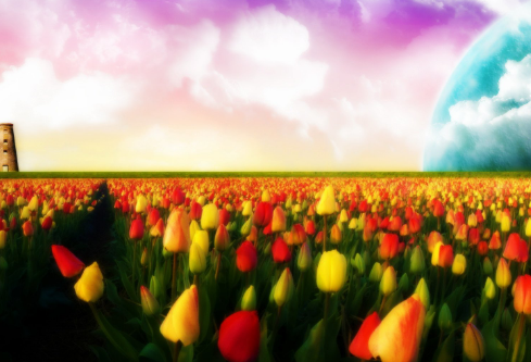 1686638478936844.png image.png
