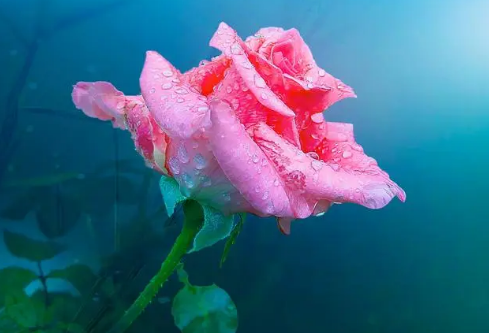 1686656704139814.png image.png