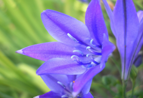 1686657536114077.png image.png