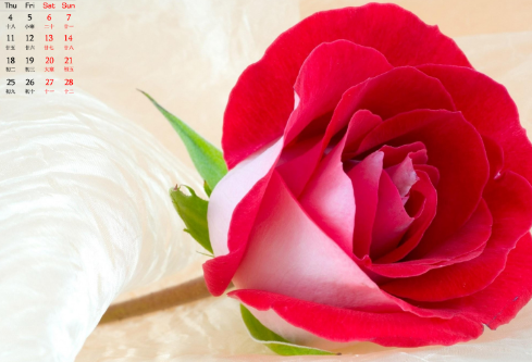 1686658534106374.png image.png
