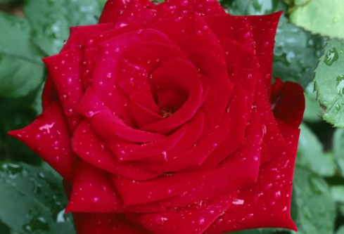 1686659863567374.png image.png