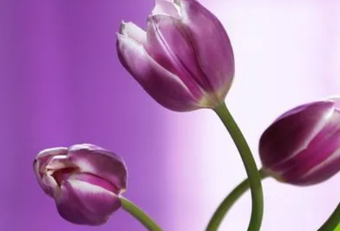 1686661194123983.png image.png