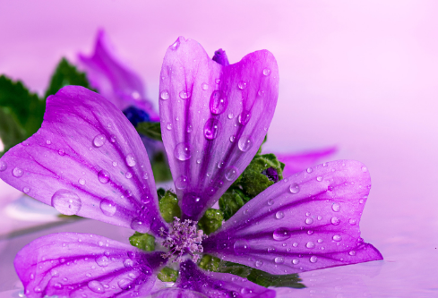1686664019130760.png image.png