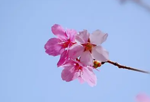 1686668202495726.png image.png
