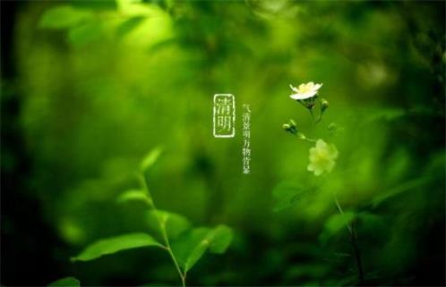 励志人生格言经典句子 努力的经典语录