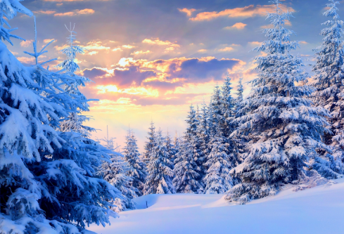 1686831580434491.png image.png