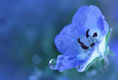 1686832914140313.png image.png