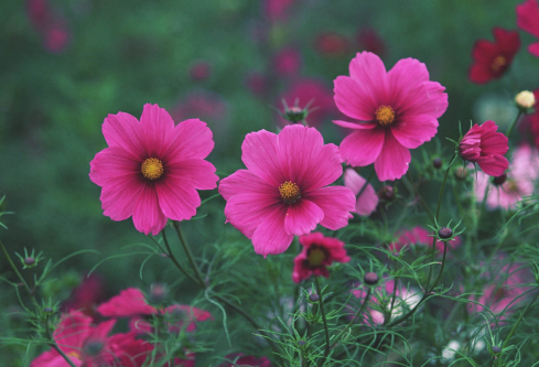 1686833580288657.png image.png