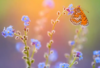 ​一句话经典语录励志名人名言(激励警句简短)