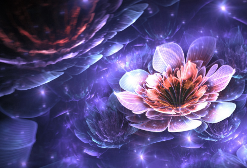 1686834746826210.png image.png
