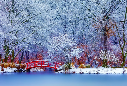 1686856297130287.png image.png