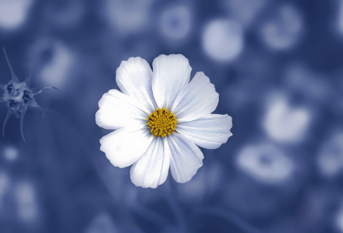 1686869628486216.png image.png