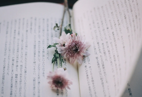 1687482737135360.png image.png