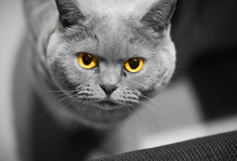 1687484891142693.png image.png