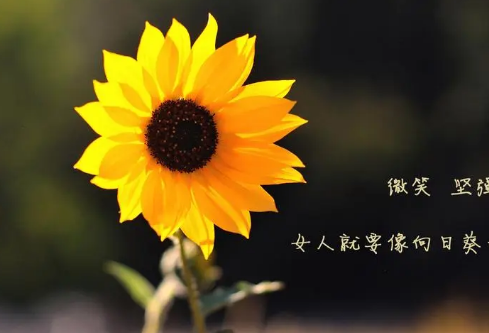 1687491851138209.png image.png