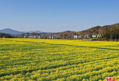 ​中秋教师节双节祝福语精简(精选114条)