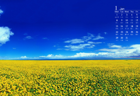1687654762330785.png image.png