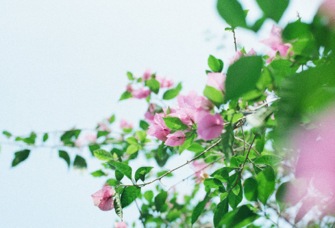 1688017604255092.png image.png
