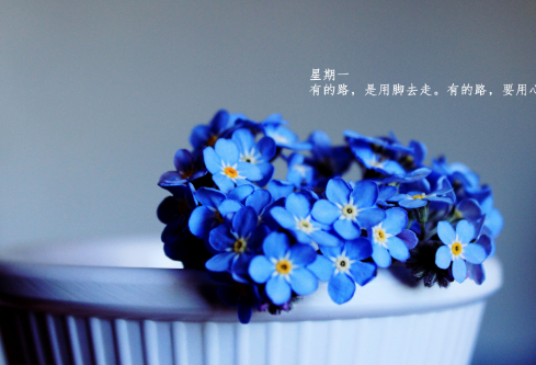 1688019837345330.png image.png