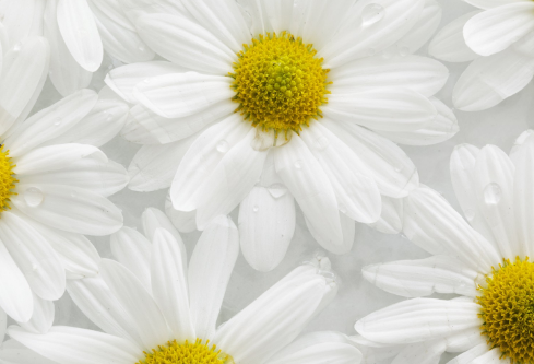 1688042466112016.png image.png