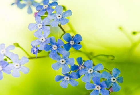 1688044009585189.png image.png