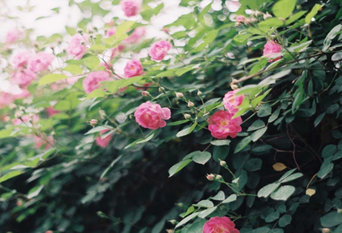 1688045209355743.png image.png