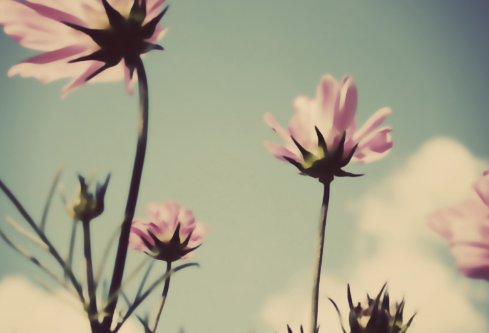 1688047281112562.png image.png