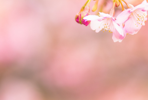 1688048652231769.png image.png
