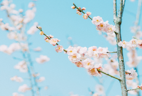 1688051236137538.png image.png