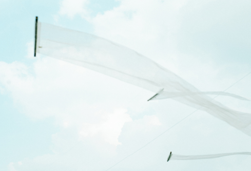 1688052447347223.png image.png