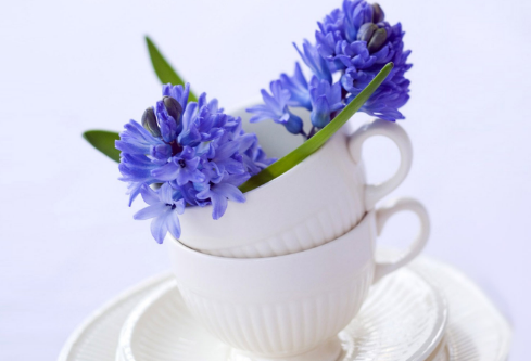 1688053817119142.png image.png