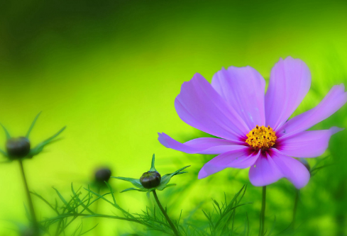 1688054503127619.png image.png