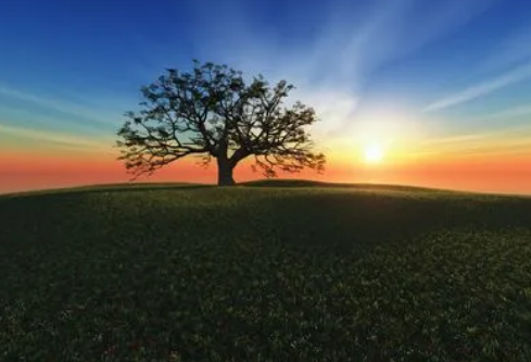 1690086769339434.png image.png