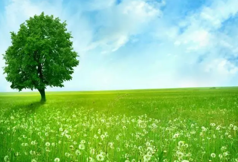 1690089590128299.png image.png