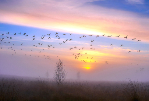 1692525446180174.png image.png