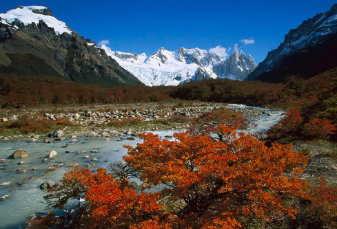 1692536583104700.png image.png