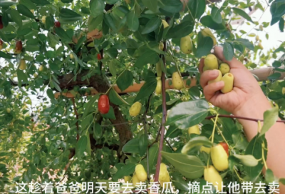 ​励志温暖的句子经典语句 【100句精选】