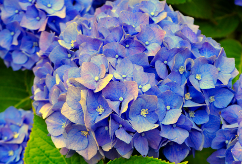 1692549303165801.png image.png