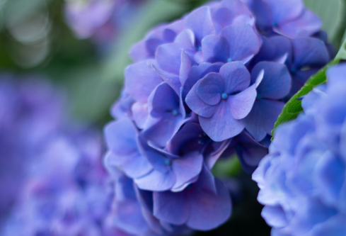 1692549469771258.png image.png