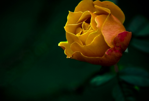 1692550631715962.png image.png