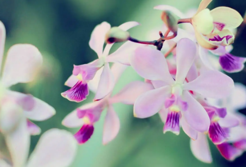 1692550964128402.png image.png