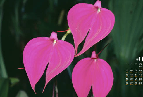1692552465104661.png image.png