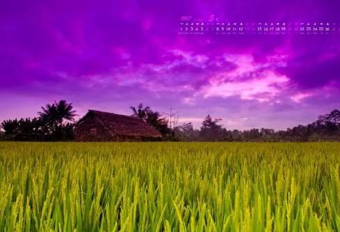 1692552798257157.png image.png